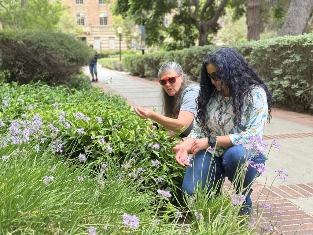two women crouching to closely observe plants on UCLA campus